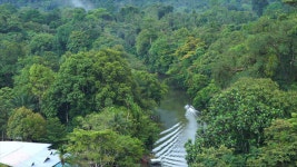 오늘의 TV | 온에어 | 전 국민의 평생학교 EBS 세계테마기행 [자연이 그리워서, 동말레이시아 3부. 웰컴 투 더 정글]