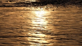 오늘의 TV | 온에어 | 전 국민의 평생학교 EBS 세계테마기행 [정(情)겨운 캄보디아 2부. 맛있는 풍경]