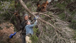 오늘의 TV | 온에어 | 전 국민의 평생학교 EBS 나눔 0700 [엄마를 지키는 삼 남매!]