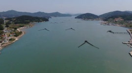 오늘의 TV | 온에어 | 전 국민의 평생학교 EBS 고향민국 [남해랑 만남해, 남해 2부. 남해, 멸치에 살어리랏다]