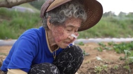 오늘의 TV | 온에어 | 전 국민의 평생학교 EBS 고향민국 [살아보고 싶은, 고성 5부. 고성, 청광마을 세 친구]