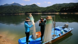 오늘의 TV | 온에어 | 전 국민의 평생학교 EBS 고향민국 [행복 담은 횡성 2부. 횡성호, 물길 따라 이야기는 머물고]