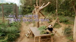 오늘의 TV | 온에어 | 전 국민의 평생학교 EBS 세계테마기행 [중국고사유랑(遊浪)1 4부. 다시 장안이 화제다! ]