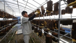 오늘의 TV | 온에어 | 전 국민의 평생학교 EBS 나눔 0700 [어느 부부의 보이지 않는 사랑]