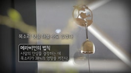 오늘의 TV | 온에어 | 전 국민의 평생학교 EBS 고향민국 [해남 1부. 해남, 끝의 시작 땅끝마을]