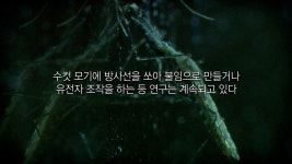 오늘의 TV | 온에어 | 전 국민의 평생학교 EBS 고향민국 [해남 1부. 해남, 끝의 시작 땅끝마을]