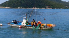 오늘의 TV | 온에어 | 전 국민의 평생학교 EBS 고향민국 [해남 1부. 해남, 끝의 시작 땅끝마을]