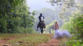 오늘의 TV | 온에어 | 전 국민의 평생학교 EBS 세계테마기행 [나는 전설이다 제4부. 세상 모든 커피의 시작, 카파]