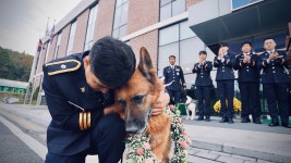 오늘의 TV | 온에어 | 전 국민의 평생학교 EBS 세계테마기행 [이것이 진짜! 네팔 에베레스트 2부. 어머니의 품으로, 아마 다블람]