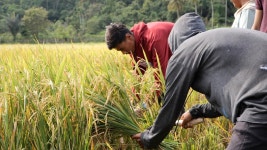 오늘의 TV | 온에어 | 전 국민의 평생학교 EBS 세계테마기행 [이것이 진짜! 네팔 에베레스트 1부. 일생에 한 번은, 사가르마타]