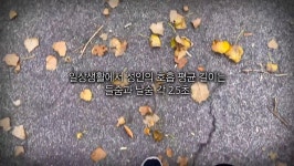 오늘의 TV | 온에어 | 전 국민의 평생학교 EBS 예술가의 VOICE [미래 예술을 스케치하다 - 드로잉 아티스트 염동균]