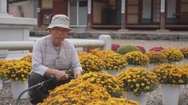 오늘의 TV | 온에어 | 전 국민의 평생학교 EBS 취미는 과학 [자연지능, 왜 인공지능을 만드나?]