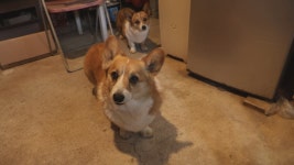 오늘의 TV | 온에어 | 전 국민의 평생학교 EBS 세계테마기행 [순백의 동화, 핀란드 2부. 괴짜 탐험기]