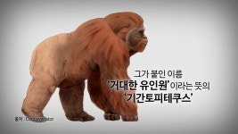 오늘의 TV | 온에어 | 전 국민의 평생학교 EBS 세계테마기행 [치수천하 물의 길, 중국 4부. 물을 다스리는 자가 천하를 얻는다]