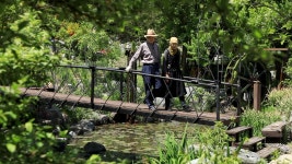 오늘의 TV | 온에어 | 전 국민의 평생학교 EBS 고향민국 [영월, 평창 편 2부. 영월, 김삿갓의 발길이 머문 마을]