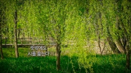 오늘의 TV | 온에어 | 전 국민의 평생학교 EBS 고향민국 [세월만큼 많은 이야기가 쌓인 고장, 완주 4부. 완주, 천년의 향기를 품고]