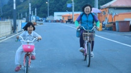 EBS 방송 | 편성표 | 전 국민의 평생학교 EBS 전 국민의 평생학교 EBS