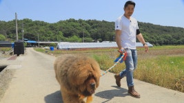 오늘의 TV | 온에어 | 전 국민의 평생학교 EBS 한국기행 [밥도둑 기행 5부. 금강이 숨겨놓은 식도락]