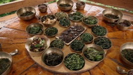 EBS 방송 | 편성표 | 전 국민의 평생학교 EBS 전 국민의 평생학교 EBS