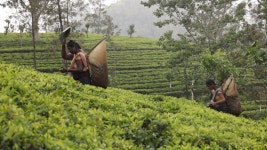 오늘의 TV | 온에어 | 전 국민의 평생학교 EBS 고향민국 [서산의 아름다운 비밀 4부. 서산, 오래되고 유쾌한 풍경 속으로]