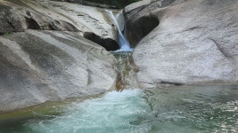 오늘의 TV | 온에어 | 전 국민의 평생학교 EBS 딩동댕 유치원 [우리가 까치발을 드는 이유]