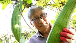 오늘의 TV | 온에어 | 전 국민의 평생학교 EBS 클래스e [남궁인의 우리 몸을 위한 최소한의 의학 지식 6강. 인체 최후의 방어막, 피부]