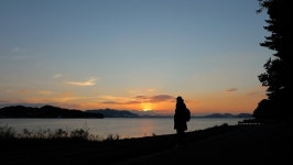 EBS 방송 | 편성표 | 전 국민의 평생학교 EBS 전 국민의 평생학교 EBS