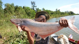 오늘의 TV | 온에어 | 전 국민의 평생학교 EBS 클래스e [박종인의 내가 쓰는 내 인생 : 자서전 쓰기 10강. 나의 이력서 - 나, 박종인]