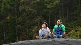 오늘의 TV | 온에어 | 전 국민의 평생학교 EBS 고양이를 부탁해 [단풍아 꽃길만 걷자]