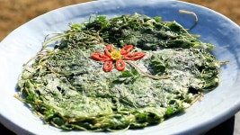 오늘의 TV | 온에어 | 전 국민의 평생학교 EBS 고양이를 부탁해 [오구오구 내 새끼]