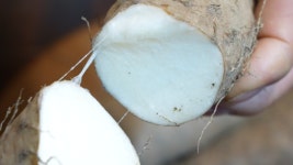 오늘의 TV | 온에어 | 전 국민의 평생학교 EBS 나눔 0700 [아빠의 유일한 희망, 가족]