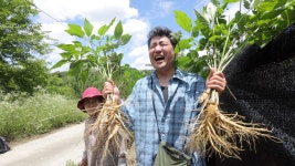 EBS 방송 | 편성표 | 전 국민의 평생학교 EBS 전 국민의 평생학교 EBS