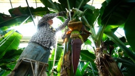 오늘의 TV | 온에어 | 전 국민의 평생학교 EBS 클래스e [김현의 내 마음의 보호막, 바운더리 12강. 불확실성 시대의 행복 찾기]