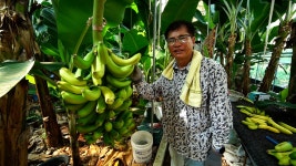 오늘의 TV | 온에어 | 전 국민의 평생학교 EBS 클래스e [김현의 내 마음의 보호막, 바운더리 12강. 불확실성 시대의 행복 찾기]