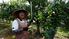 오늘의 TV | 온에어 | 전 국민의 평생학교 EBS 클래스e [전호태의 한국 미술의 기원: 암각화에서 고분벽화까지 7강. 불교 신앙의 전파와 국내성... 