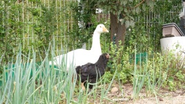 오늘의 TV | 온에어 | 전 국민의 평생학교 EBS 특집 나눔 0700 [15년 나눔의 기적]