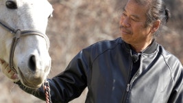 오늘의 TV | 온에어 | 전 국민의 평생학교 EBS 세계테마기행 [덕후의 전쟁사전(展) 영원한 로마  4부. 은둔의 낙원을 향해]