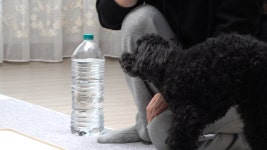 오늘의 TV | 온에어 | 전 국민의 평생학교 EBS 나눔 0700 [네가 숨 쉬는 한, 아빠는 끝까지 버틸게]