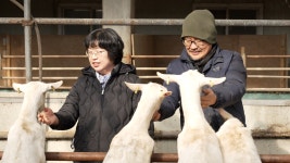 오늘의 TV | 온에어 | 전 국민의 평생학교 EBS 한국기행 [오늘이 가장 좋은 봄 5부. 산양 아빠와 돌 셰프]