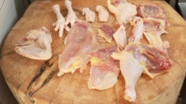 오늘의 TV | 온에어 | 전 국민의 평생학교 EBS 클래스e [이원영의 ‘기후위기의 시대, 생명으로부터 미래를 읽다’ 2강. 극한에서 버티기 전략]