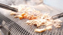 오늘의 TV | 온에어 | 전 국민의 평생학교 EBS 클래스e [이원영의 ‘기후위기의 시대, 생명으로부터 미래를 읽다’ 2강. 극한에서 버티기 전략]