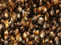 오늘의 TV | 온에어 | 전 국민의 평생학교 EBS 『스페이스 공감』 프랑스 싱어 송 라이터 베리 “Shall we, Mademoiselle?” 