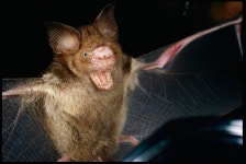 오늘의 TV | 온에어 | 전 국민의 평생학교 EBS 『스페이스 공감』 프랑스 싱어 송 라이터 베리 “Shall we, Mademoiselle?” 