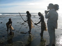 오늘의 TV | 온에어 | 전 국민의 평생학교 EBS EBS창사특별기획『행복한 섬, 바누아투』