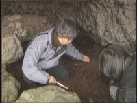 오늘의 TV | 온에어 | 전 국민의 평생학교 EBS 『하나뿐인 지구』물의 숲, 제주 곶자왈(가제)