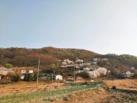 경매마당 공매정보 2023-01844-005의 시세, 권리분석, 상세정보