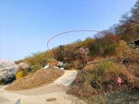 경매마당 공매정보 2023-01844-005의 시세, 권리분석, 상세정보