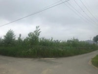 경매마당 공매정보 2023-04369-002의 시세, 권리분석, 상세정보