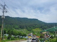 경매마당 공매정보 2023-06162-003의 시세, 권리분석, 상세정보