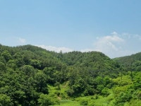 경매마당 공매정보 2023-06385-002의 시세, 권리분석, 상세정보